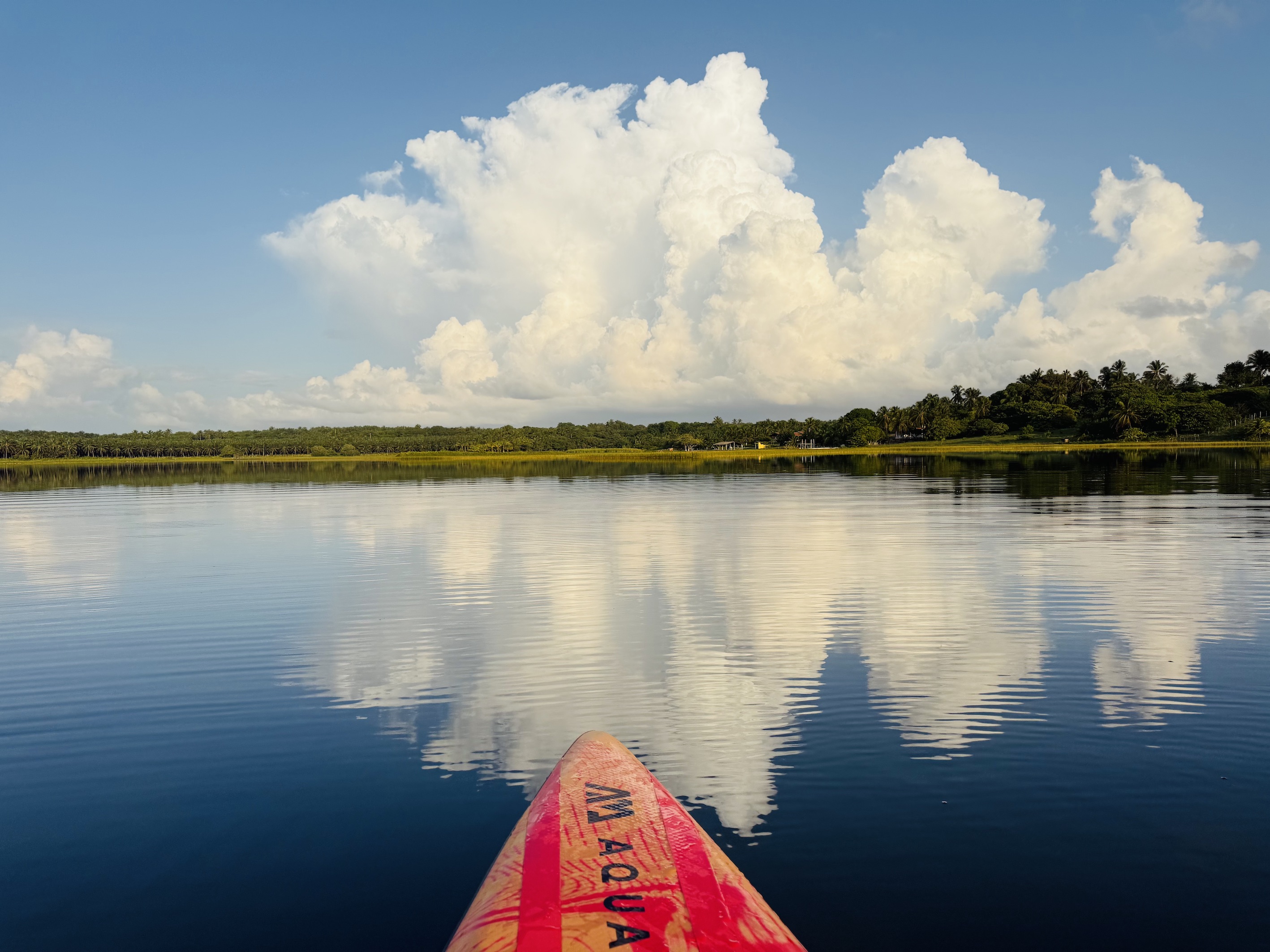 Almecegas SeeStandup mini